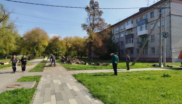 В барнаульском поселке Южном сносят опасные деревья