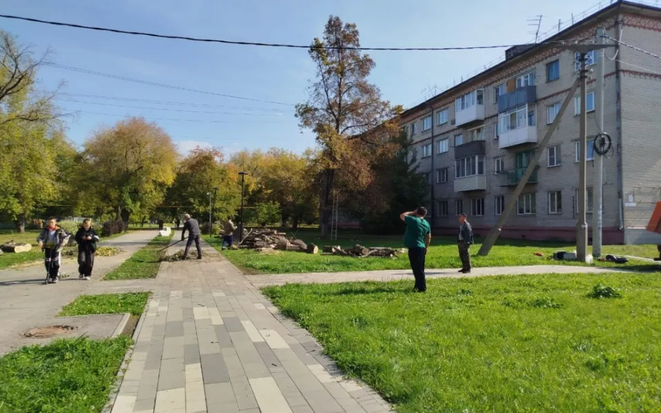 В барнаульском поселке Южном сносят опасные деревья