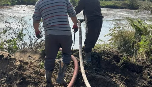 На проблемные поля фильтрации в Первомайском районе заселили специальные бактерии