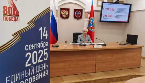 Глава Алтайкрайизбиркома оценила использование нейросетевых изображений в агитках