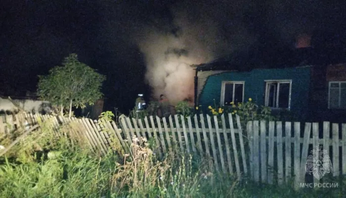 Тела двух мужчин нашли на месте пожара в алтайском селе