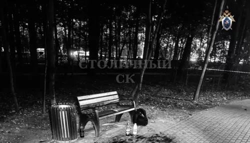 Два тела с ножевыми ранениями обнаружили в парках Москвы всего за один день