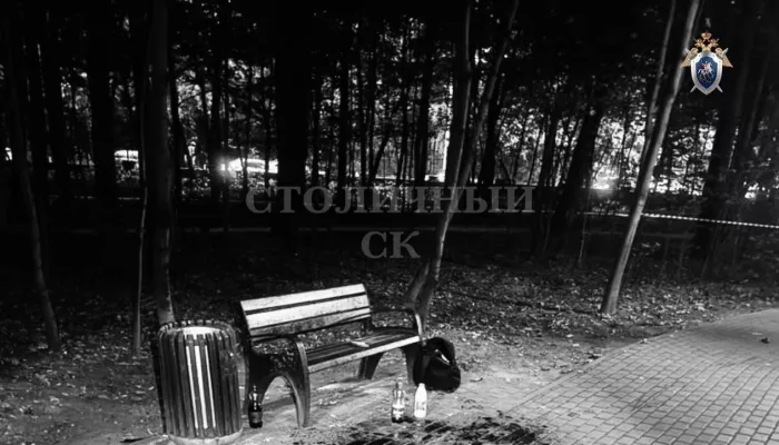 Два тела с ножевыми ранениями обнаружили в парках Москвы всего за один день