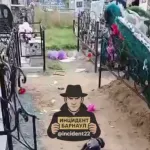 Младшеклассники-вандалы разгромили могилы бойцов СВО в Алтайском крае