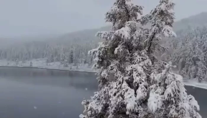 Отдаленные районы Республики Алтай в сентябре засыпало снегом