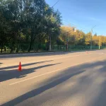 Пожилой водитель сбил мать и ее девятилетнюю дочь в Новоалтайске