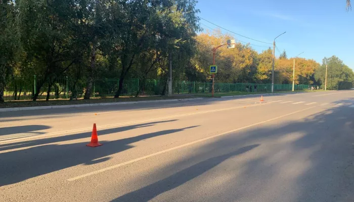 Пожилой водитель сбил мать и ее девятилетнюю дочь в Новоалтайске