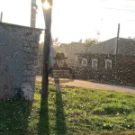 Осенний рой: нашествие мошек запечатлели в Алейске