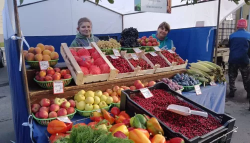 Барнаульцы закупились на продовольственных ярмарках на 13,4 млн рублей