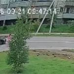 Мужчина за рулем Subaru сбил молодую девушку в Новоалтайске