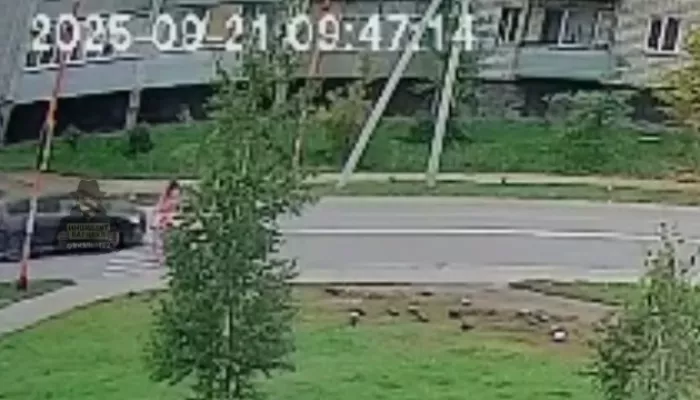 Мужчина за рулем Subaru сбил молодую девушку в Новоалтайске