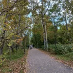 Барнаульцы выбрались в золотеющие парки в теплые выходные. Фото