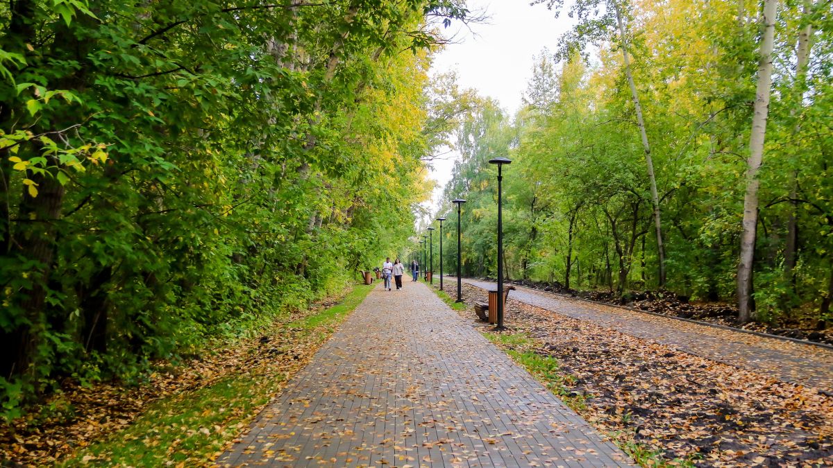 Реконструкция территории бывшего парка имени Ленина. Сентябрь 2025 года