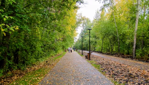 Благоустройство трех территорий пройдет в Барнауле в этом году: что планируют сделать