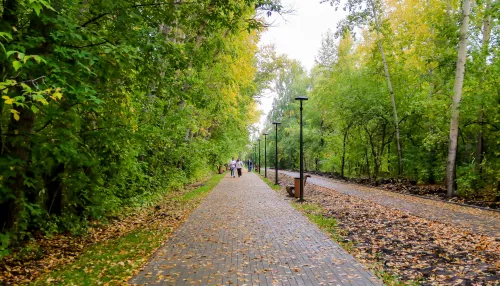 Благоустройство трех территорий пройдет в Барнауле в этом году: что планируют сделать
