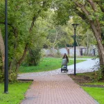 Власти Барнаула нашли подрядчиков для благоустройства трех общественных территорий