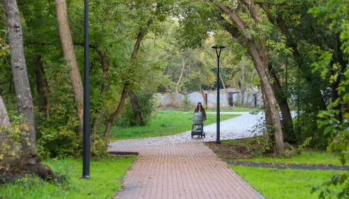 Власти Барнаула нашли подрядчиков для благоустройства трех общественных территорий