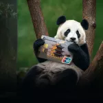 UnionPay: россияне переключаются с Запада на Китай и Юго-Восточную Азию