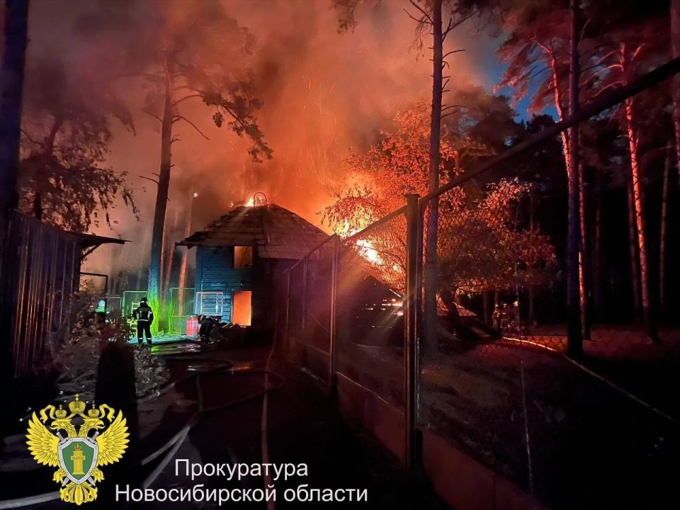 Пожар в Новосибирском зоопарке Пожар в Новосибирском зоопарке