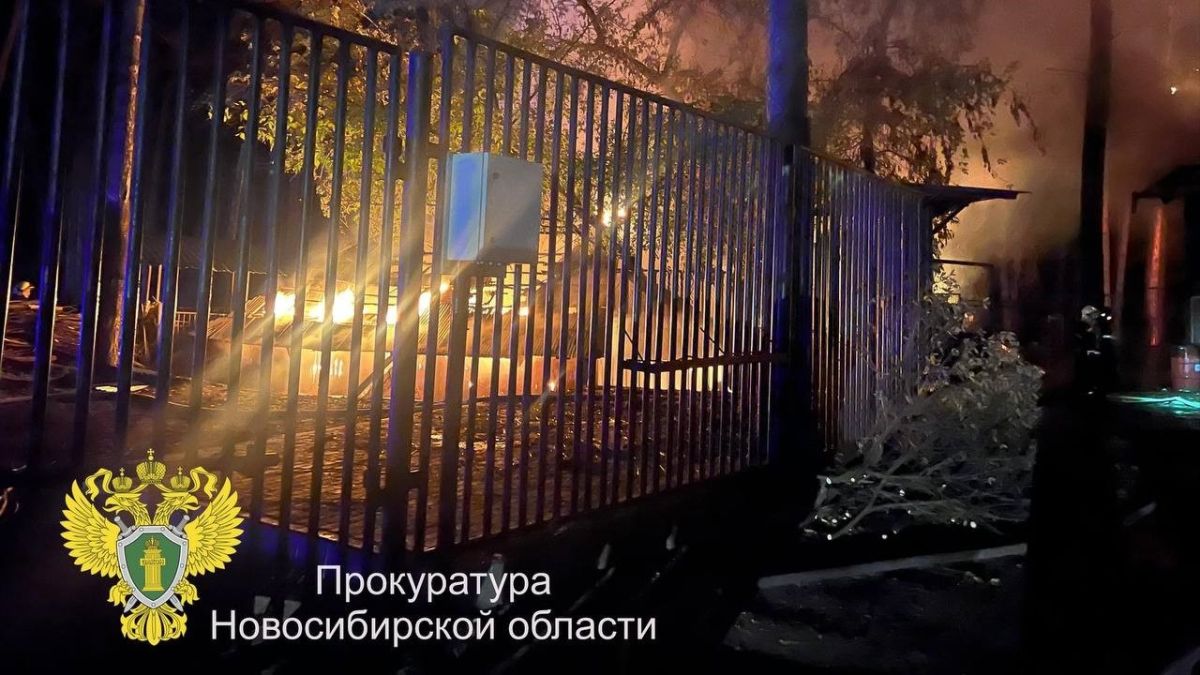 Пожар в Новосибирском зоопарке