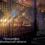 Почему произошел пожар в Новосибирском зоопарке и сколько животных погибло