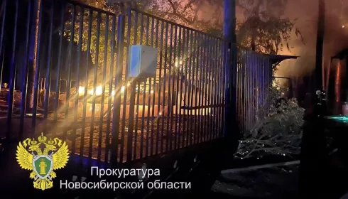 Погибли ламы и альпаки: что известно о пожаре в Новосибирском зоопарке