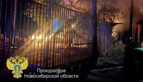 Погибли ламы и альпаки: что известно о пожаре в Новосибирском зоопарке