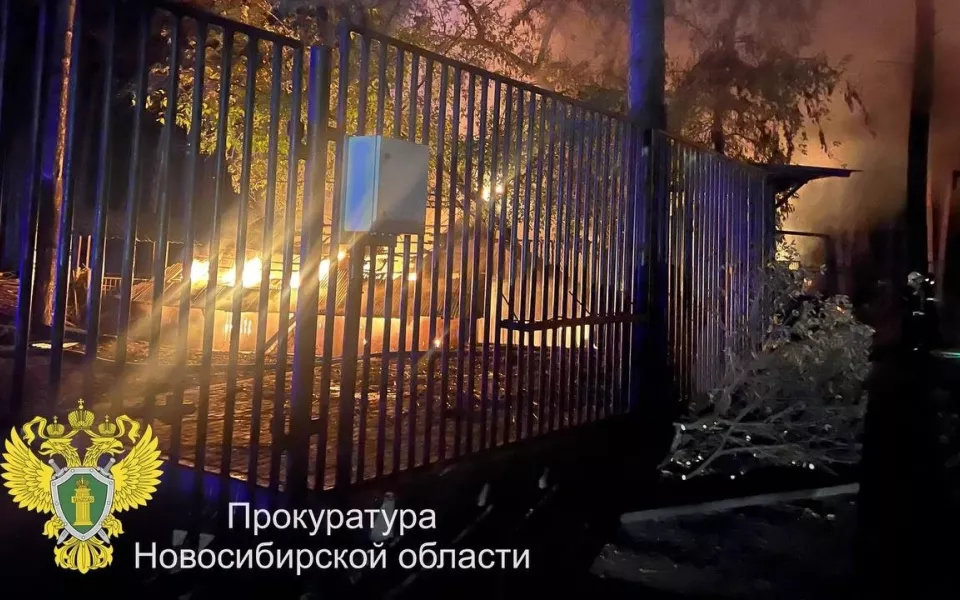 Погибли ламы и альпаки: что известно о пожаре в Новосибирском зоопарке