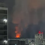 Местами сигнальные ленты: что происходит в зоопарке Новосибирска после мощного пожара