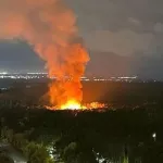 Пожар в Новосибирском зоопарке: что известно к этому часу