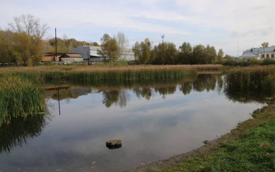 В Бийске стартовали работы по спасению Ковалевского озера