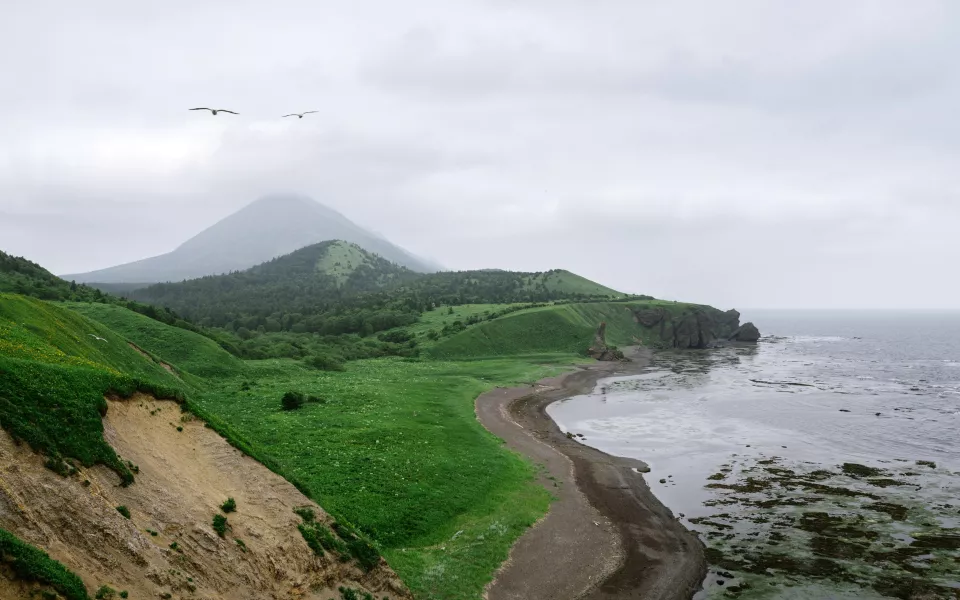 Ледяной ужас на Сахалине: в земле нашли закопанные холодильники с кровью