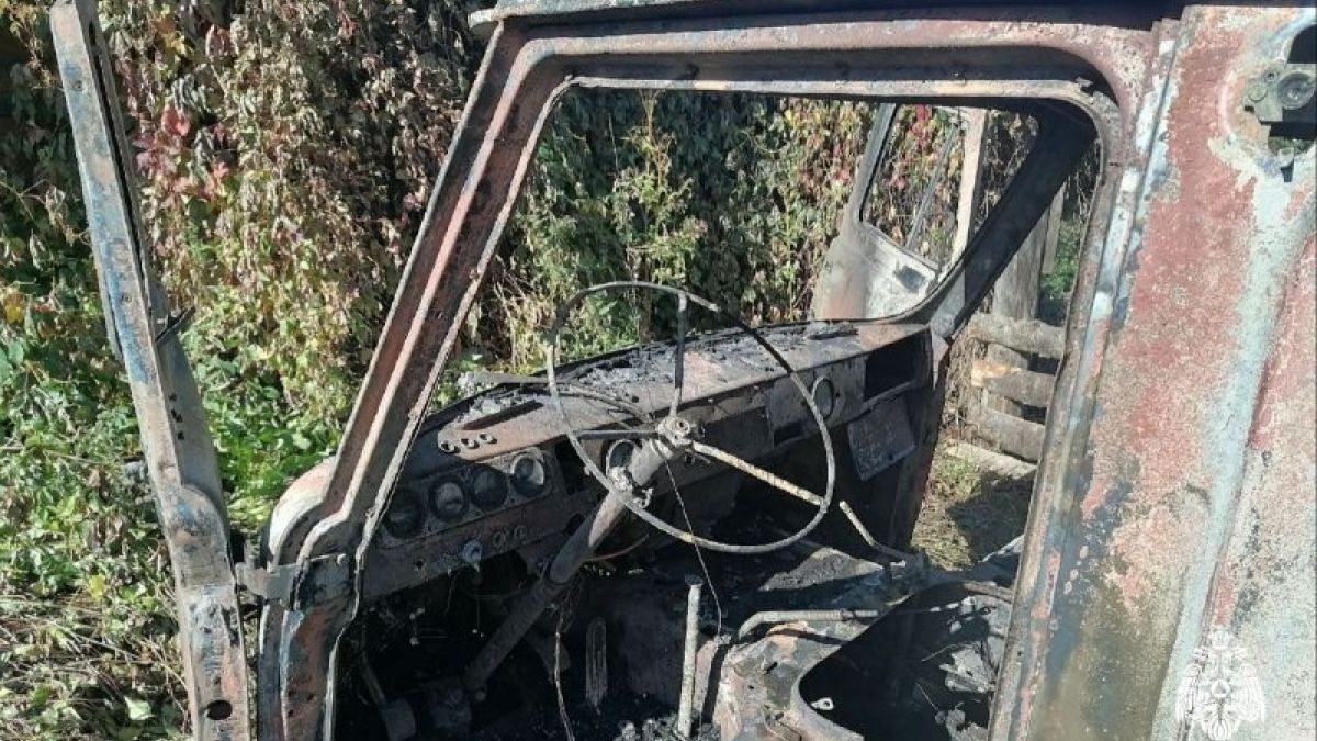 Сожженный детьми автомобиль