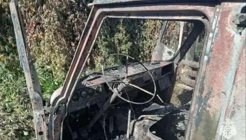 В Горно-Алтайске дети сожгли автомобиль из-за игр с зажигалкой