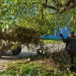 В Барнауле провели противопожарные субботники и опашку земель