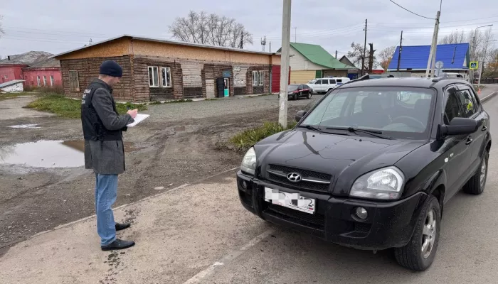 Пьяный водитель насмерть сбил 10-летнюю девочку в алтайском селе Первомайское