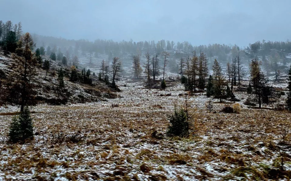 Зима близко: в районах Республики Алтай прошел снегопад. Фото