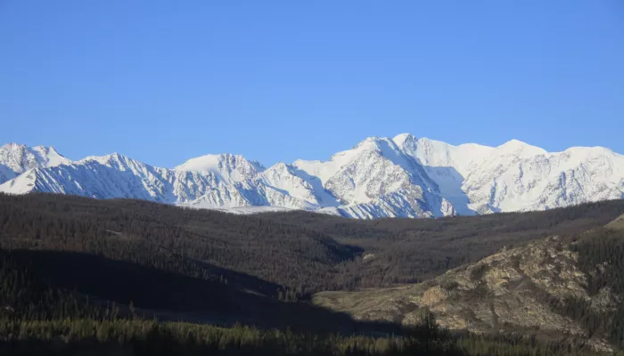 Республика Алтай стала первопроходцем в стране по земельной амнистии