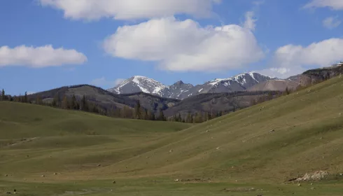 В Республике Алтай приняли постановление о приоритетном выкупе сельхозземель властями