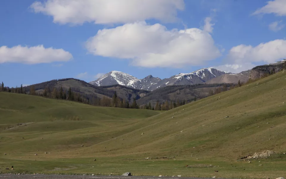 В Республике Алтай приняли постановление о приоритетном выкупе сельхозземель властями