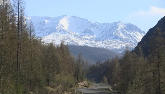 Большой реконструкции Чуйского тракта в курортной зоне Горного Алтая дали добро