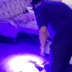 Мать и двоих детей нашли убитыми в квартире в Ульяновске