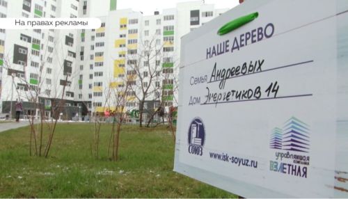 50 деревьев высадили жильцы комплекса Времена года в Барнауле