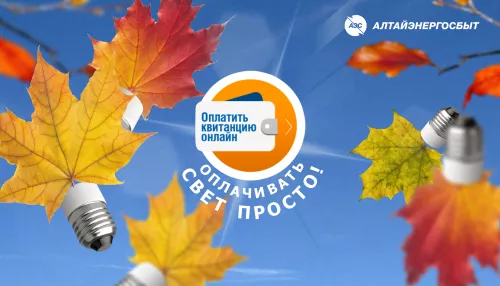 Алтайэнергосбыт: 3 простых способа оплатить электроэнергию без комиссии