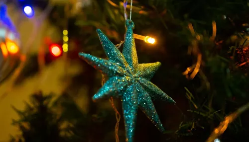 Республика Алтай вошла в топ-15 по числу бронирований загородных домов на Новый год