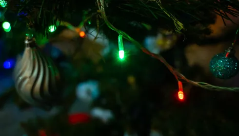 Железнодорожный и Октябрьский районы Барнаула украсят к Новому году за 3,5 млн рублей