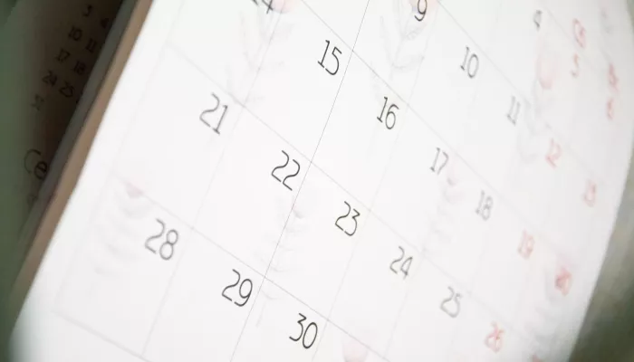 В России может появиться дополнительный выходной в ноябре В России может появиться дополнительный выходной в ноябре