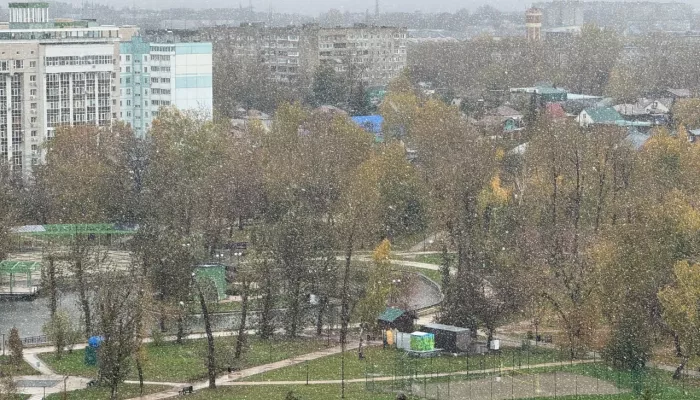 Новая неделя в Алтайском крае начнется с похолодания до -2 градусов