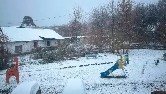 Новосибирск укрыло снежным покрывалом утром 4 октября