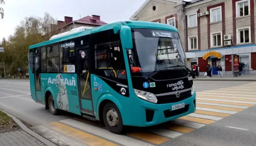 Новые горно-алтайские автобусы: какие они в деле. Тест-драйв от Толка
